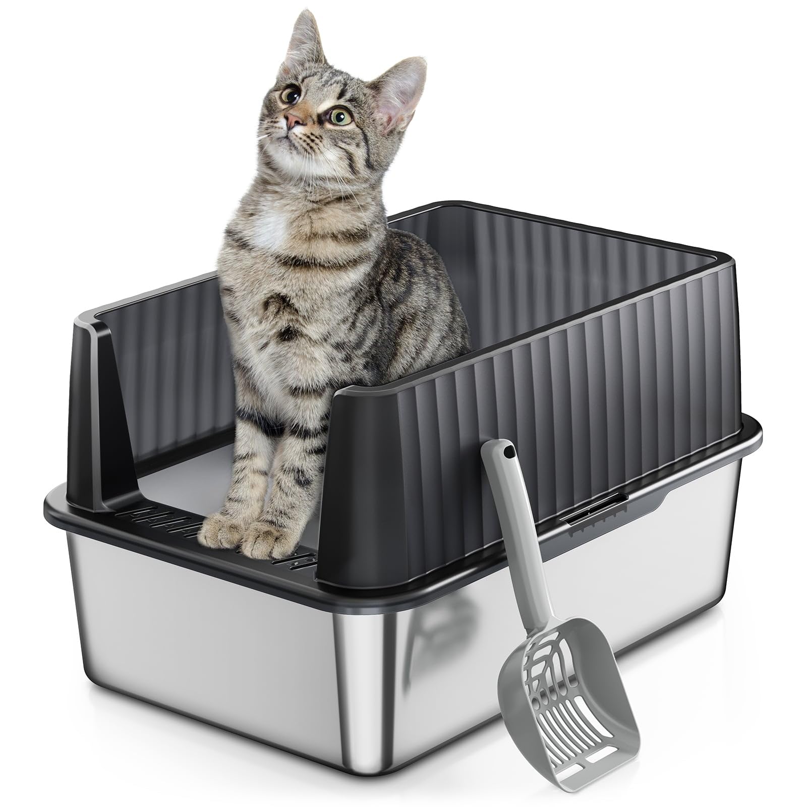 Zarlerstainless Steel Litter Box For Kittens Small Cat Litter Box