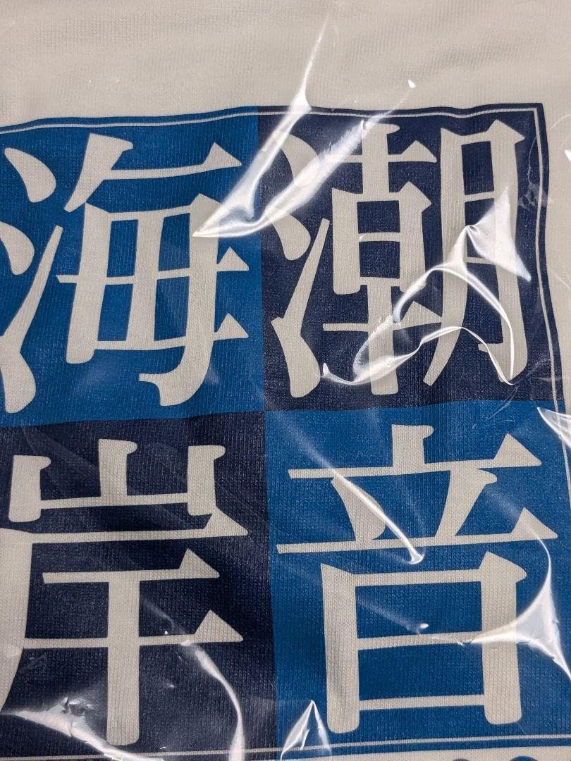 ビーチボーイズ 潮音海岸 フジテレビ公式Tシャツ復刻版 ビーチボーイズ 