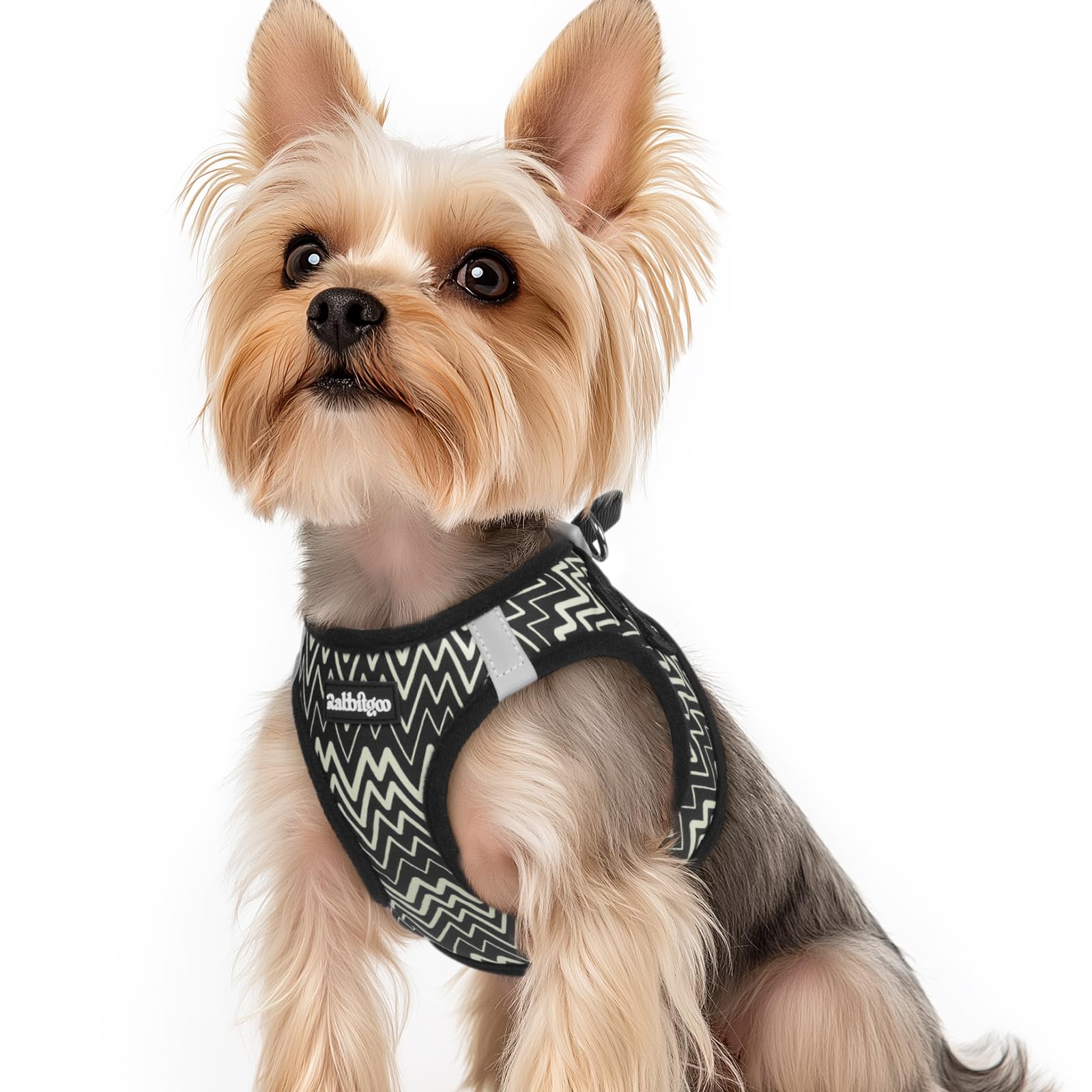 rabbitgoo Dog Harness Small Dog, Step-in Soft Mesh Puppy Harness with Reflective Strips, Lightweight Breathable Pet Vest for Walking Training, Black Zigzag, XS