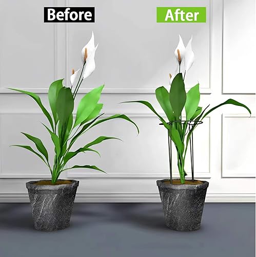 Miniatura 4 de Paquete de 10 estacas de soporte para plantas, 0.157 in de grosor y 24 pulgadas de grosor, estacas de jardín de metal, jaulas de soporte para