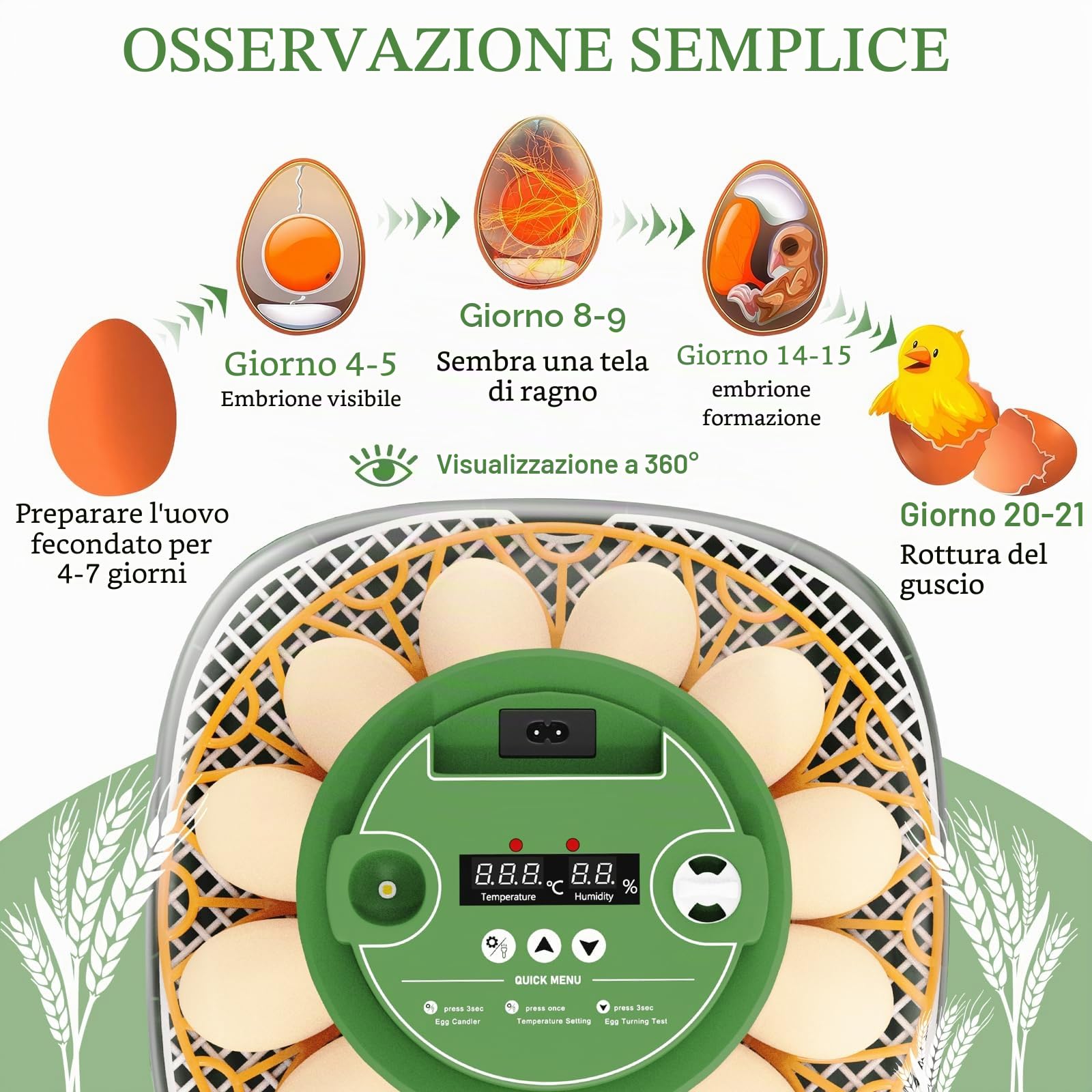 Incubatrice completamente automatica per 12 uova, incubatrice per polli con rifornimento automatico dell'acqua e voltauova automatico, controllo dell'umidità, ovoscopio per polli, anatre e uova di