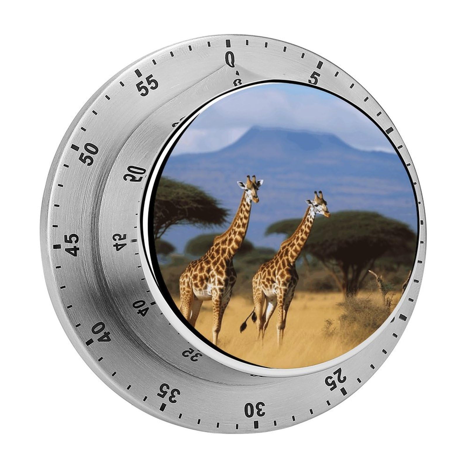 Africa Wildlife Giraffes Visual Timer with Loud Alarm 60-Minute Kitchen Timers Exquisite Stainless Steel Body - Mechanical Desk Timer Countdown Clock for Cooking Chef Clock