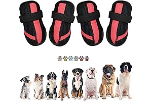 All-Terrain Dog Boots: Durable Protection for Outdoor Adventures