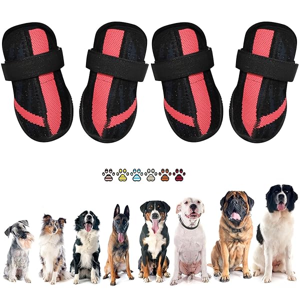Producto: PETQYS Dog Shoes,Mesh Breathable