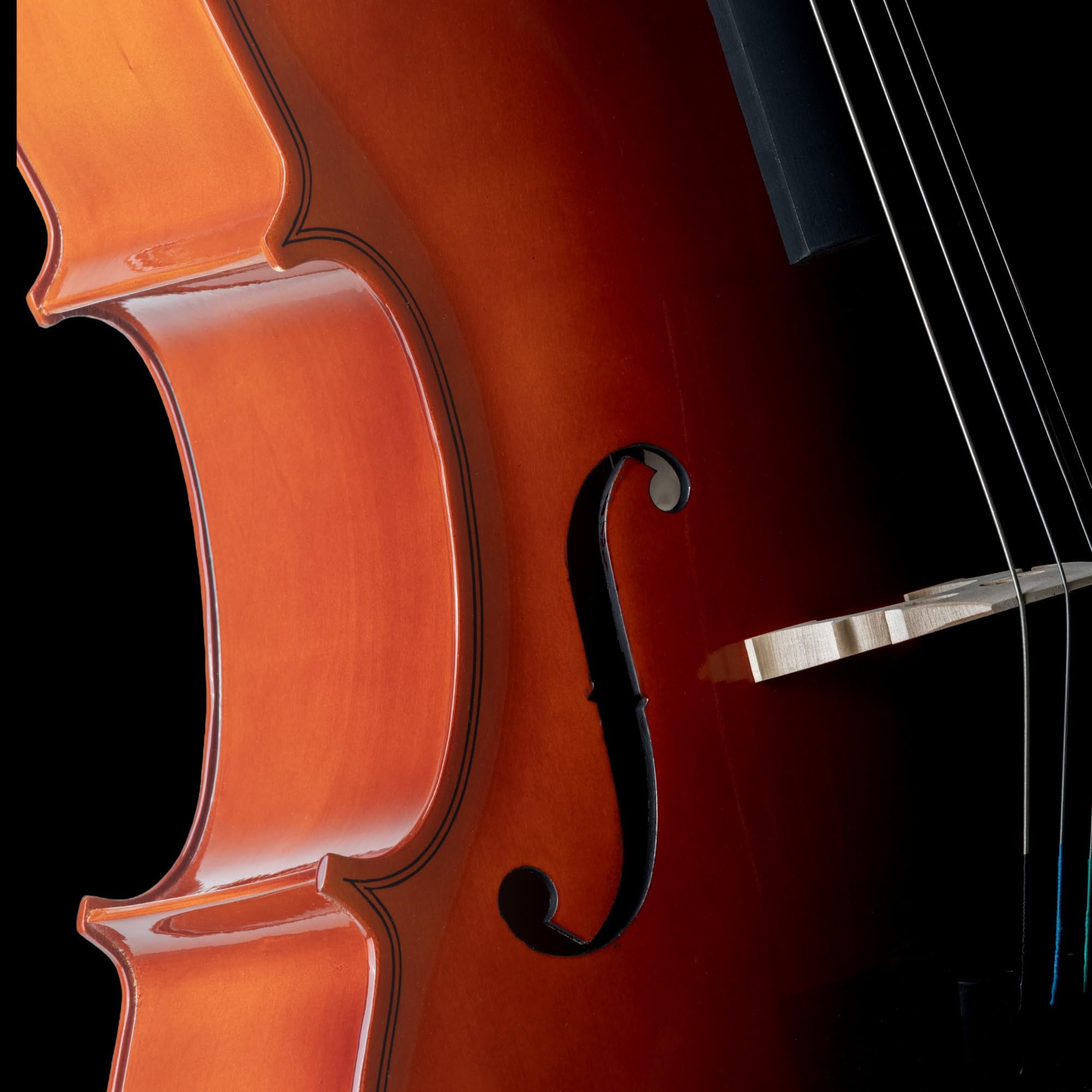 Classic Cantabile CP-100 1/2 Cello Set, Decke: Fichte, Boden, Zargen | Hals, Griffbrett, Wirbel und Steg: Ahorn, Saitenhalter aus Karbon, Vier Feinstimmer, Höhenverstellbarer Stachel, Größe: 1/2