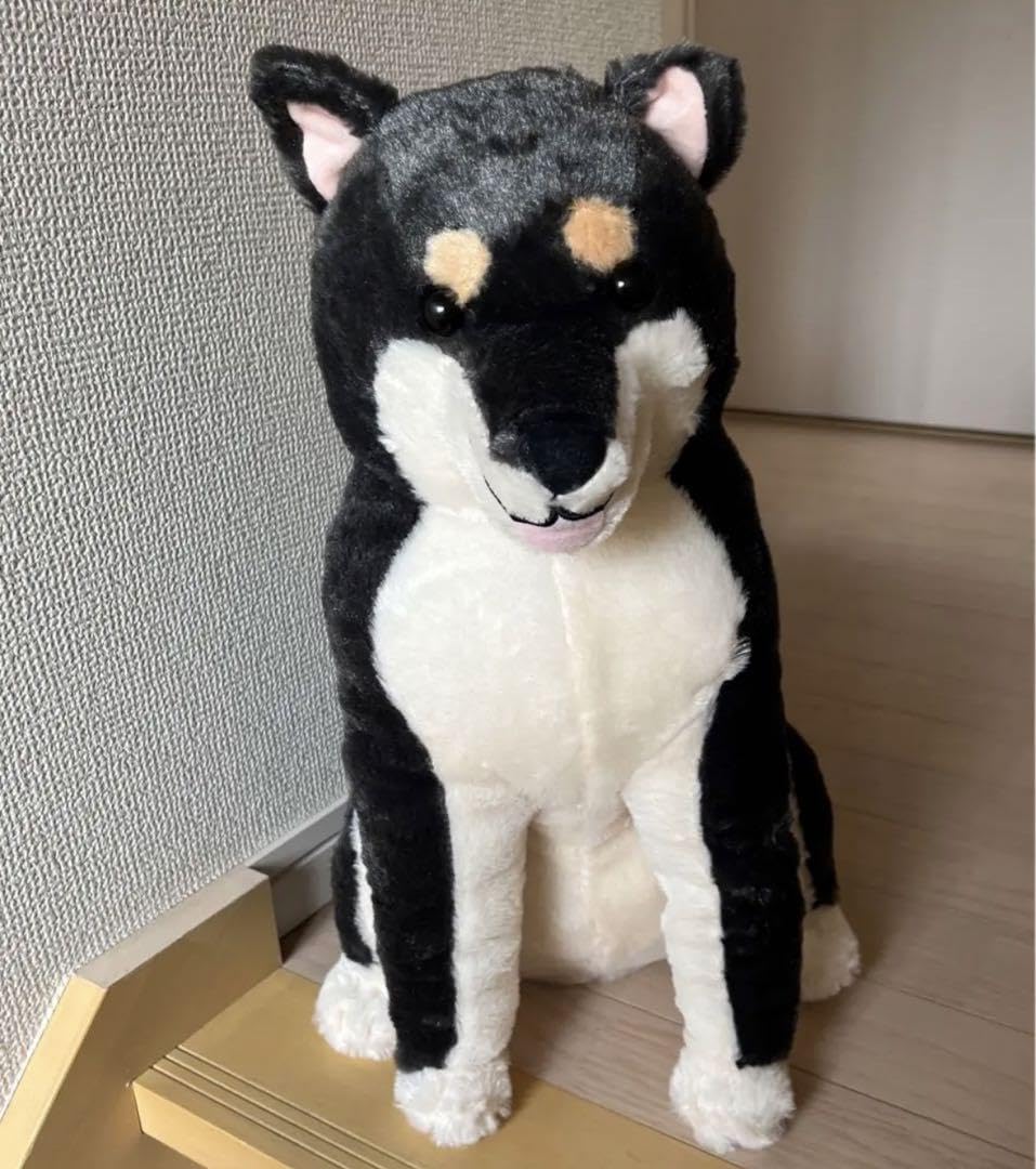Amazon.co.jp: ほっこり柴犬 茶々ノ助 BIG ぬいぐるみ 柴黒兄貴 : おもちゃ