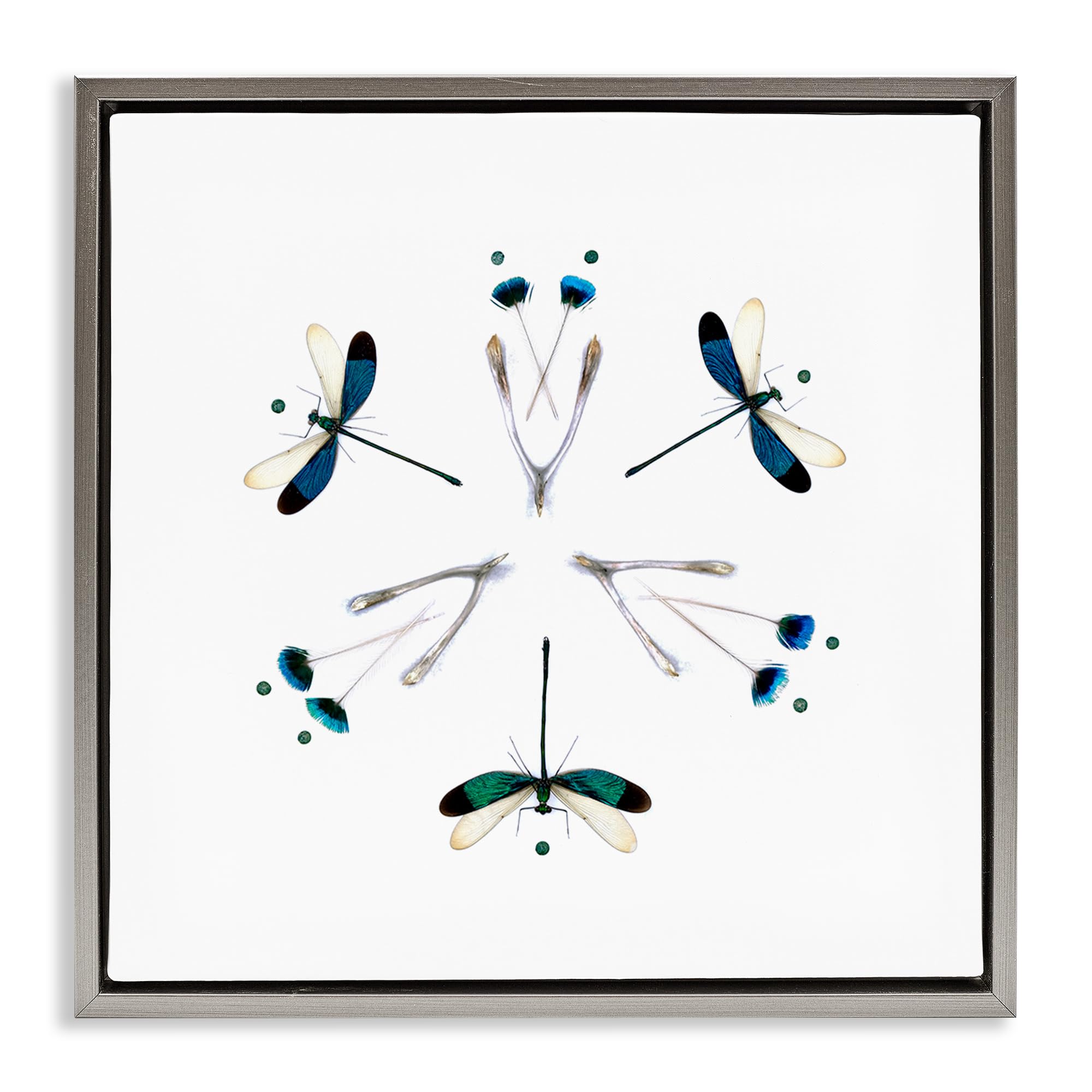 Stupell Industries Symmetric Dragonfly Mandala Wings 'Simple Dragonfly Symmetry', Floating Frame Canvas Art, Gray, 18 X 18 Inches, Easy To Hang And Sturdy, Made In Usa, By Beth Adoette
