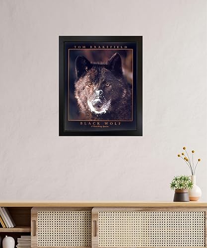 Miniatura 5 de Póster artístico para decoración de pared, diseño de lobo negro (una especie desaparecida) (16 x 20 pulgadas)