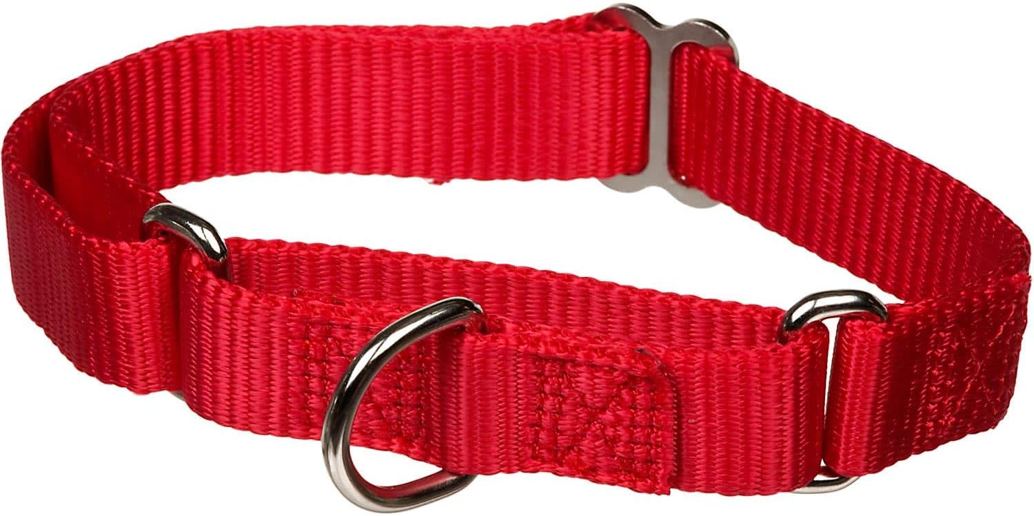 X-tra Control Collar Red Small 12"-18" 1" Width