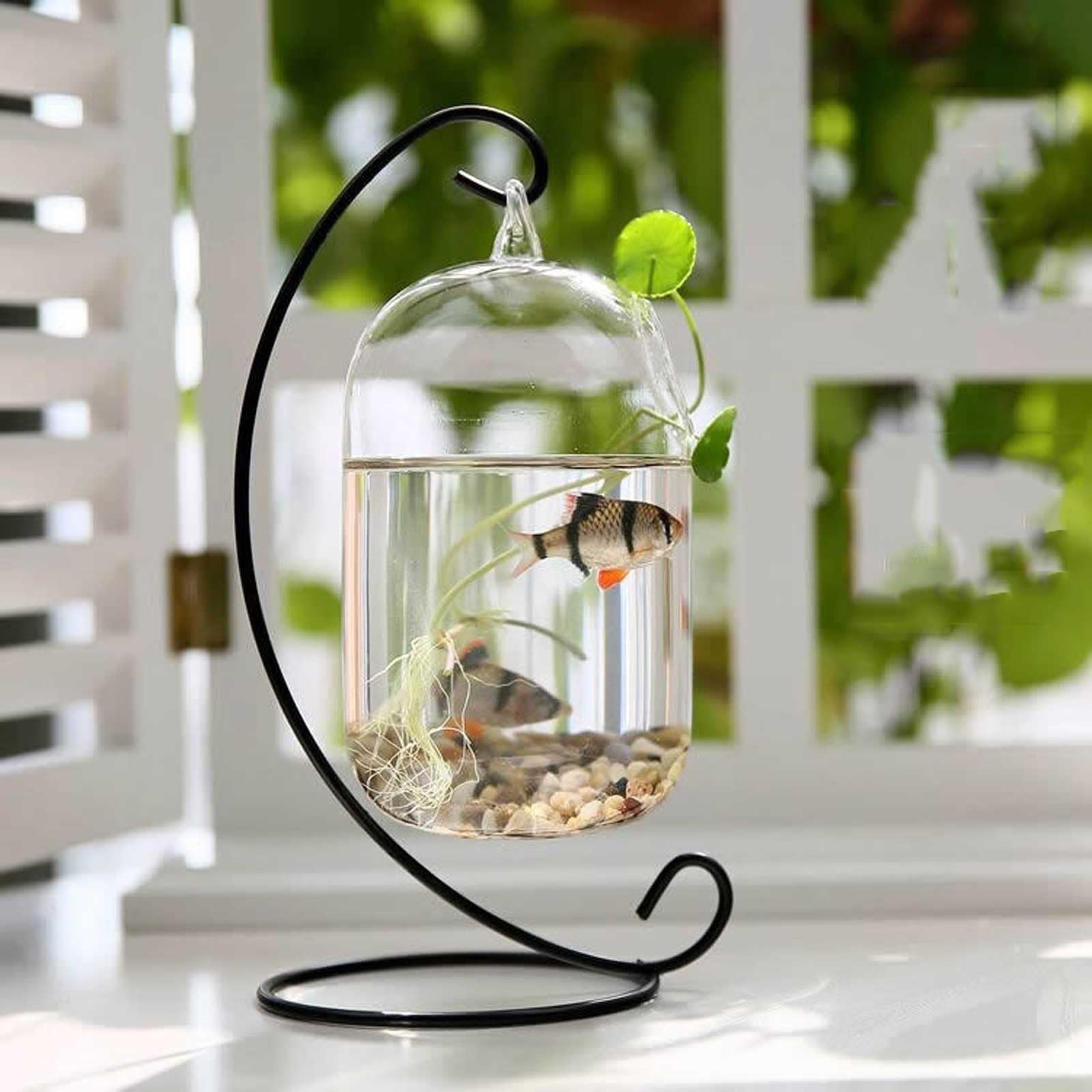 Aquarium Petit Aquarium Suspendu Design Joli Verre Petit Aquarium Cadre en métal Suspendu Bureau décoratif Aquariums Bocal ​Poisson(Noir,Grand)