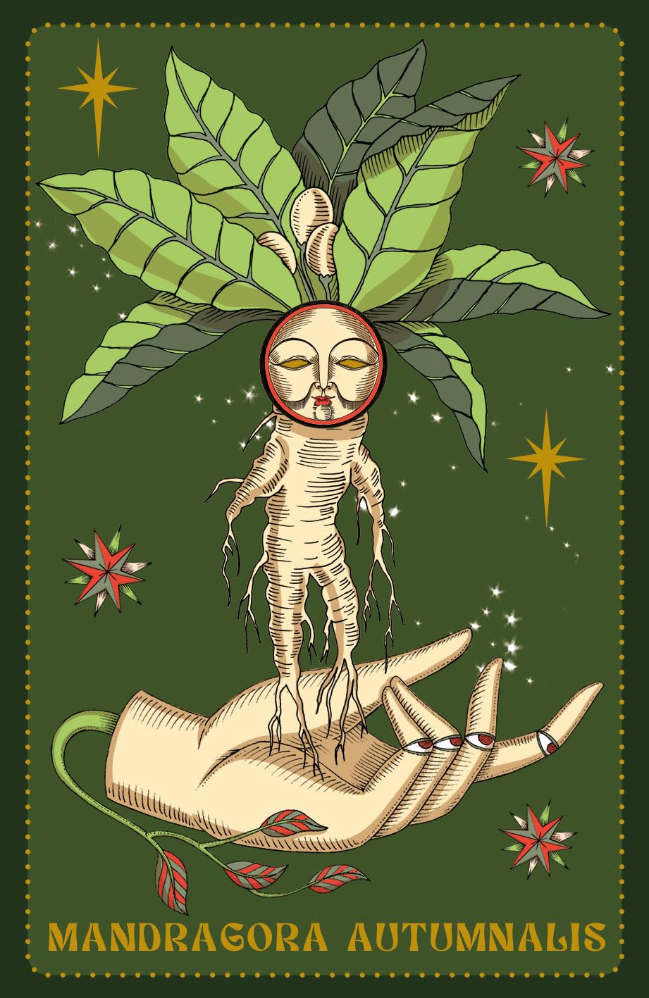 Herbarium oracle. Con Libro
