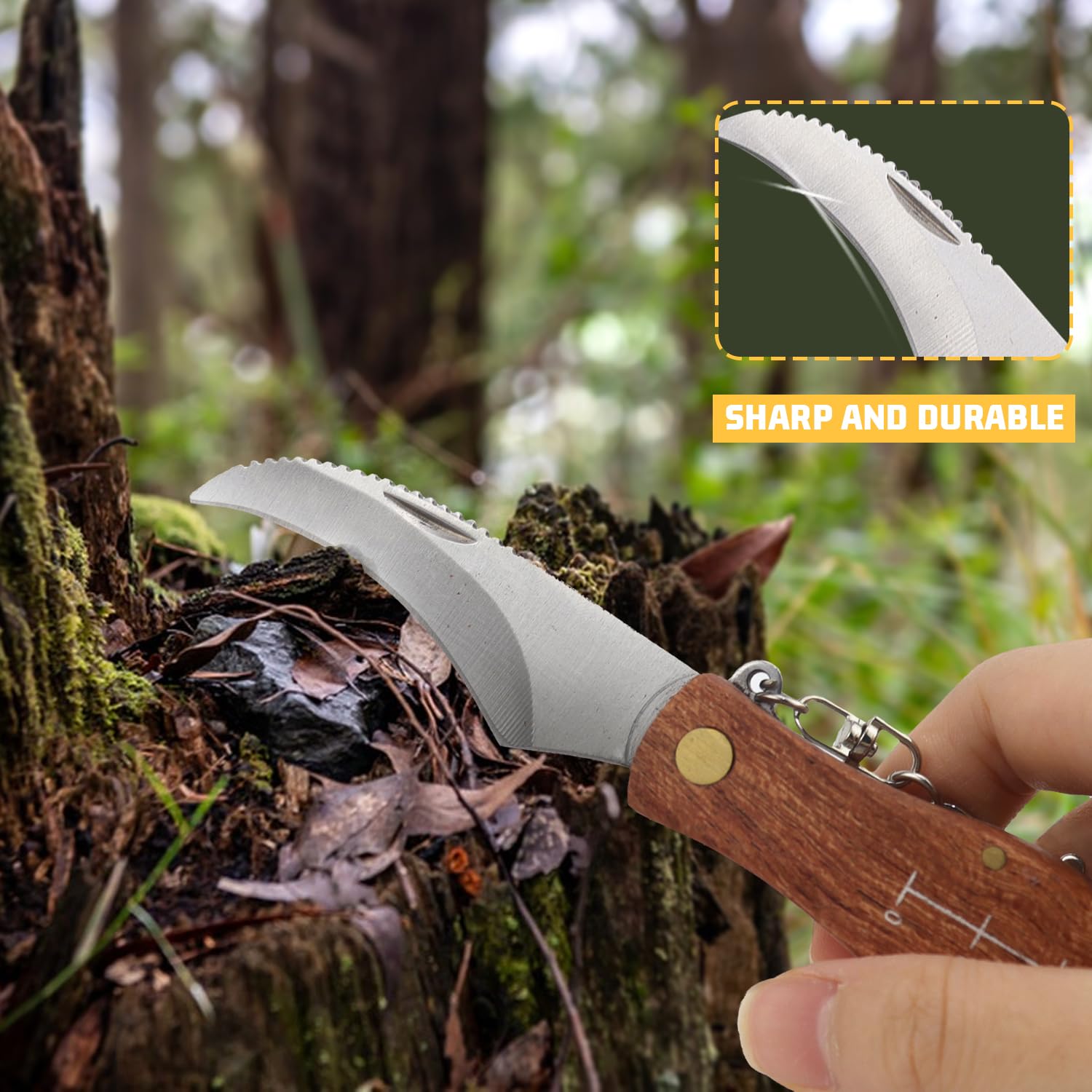 Erzekrim Navaja para Setas con cepillo de acero inoxidable, cuchillo plegable con brújula y regla, llavero - Adecuado para acampar al aire libre