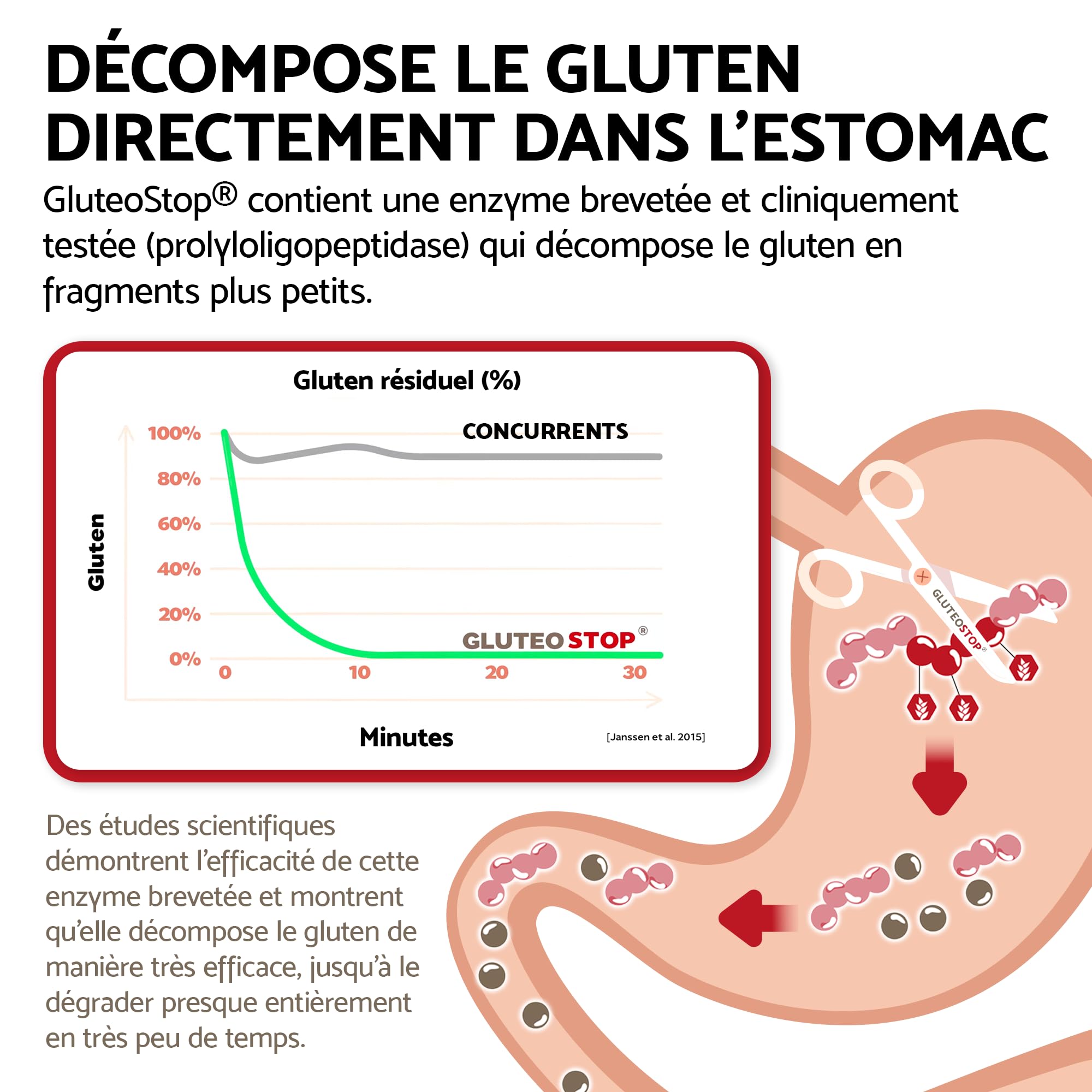 GluteoStop comprimés gluten enzyme 90 mini-comprimés aide décomposer sensibilité intolérance