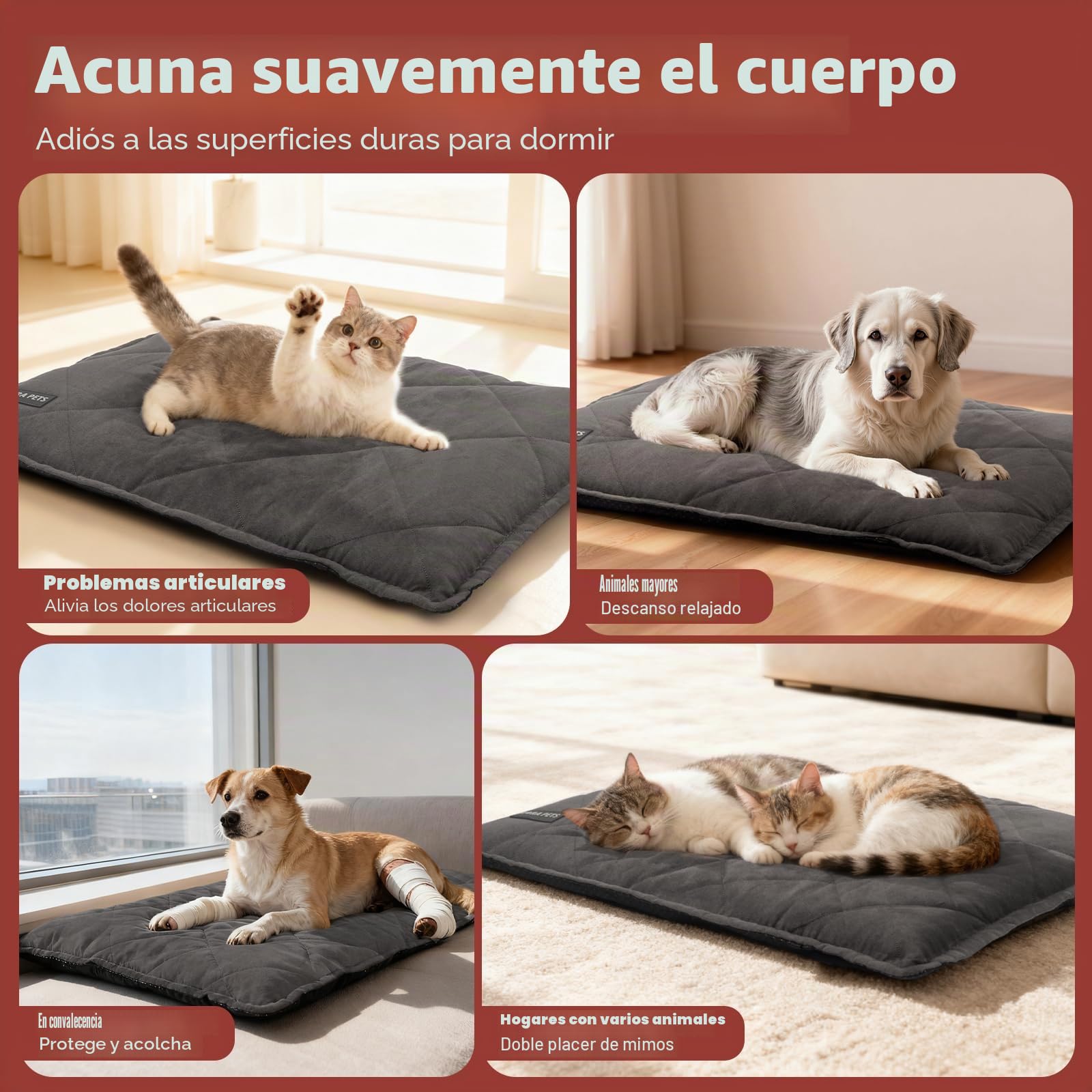 Mora Pets Manta autocalentado Gato Cama térmica sin Electricidad y baterías cojín de Calor Innovador e ecológico Manta termica 76 x 52 CM