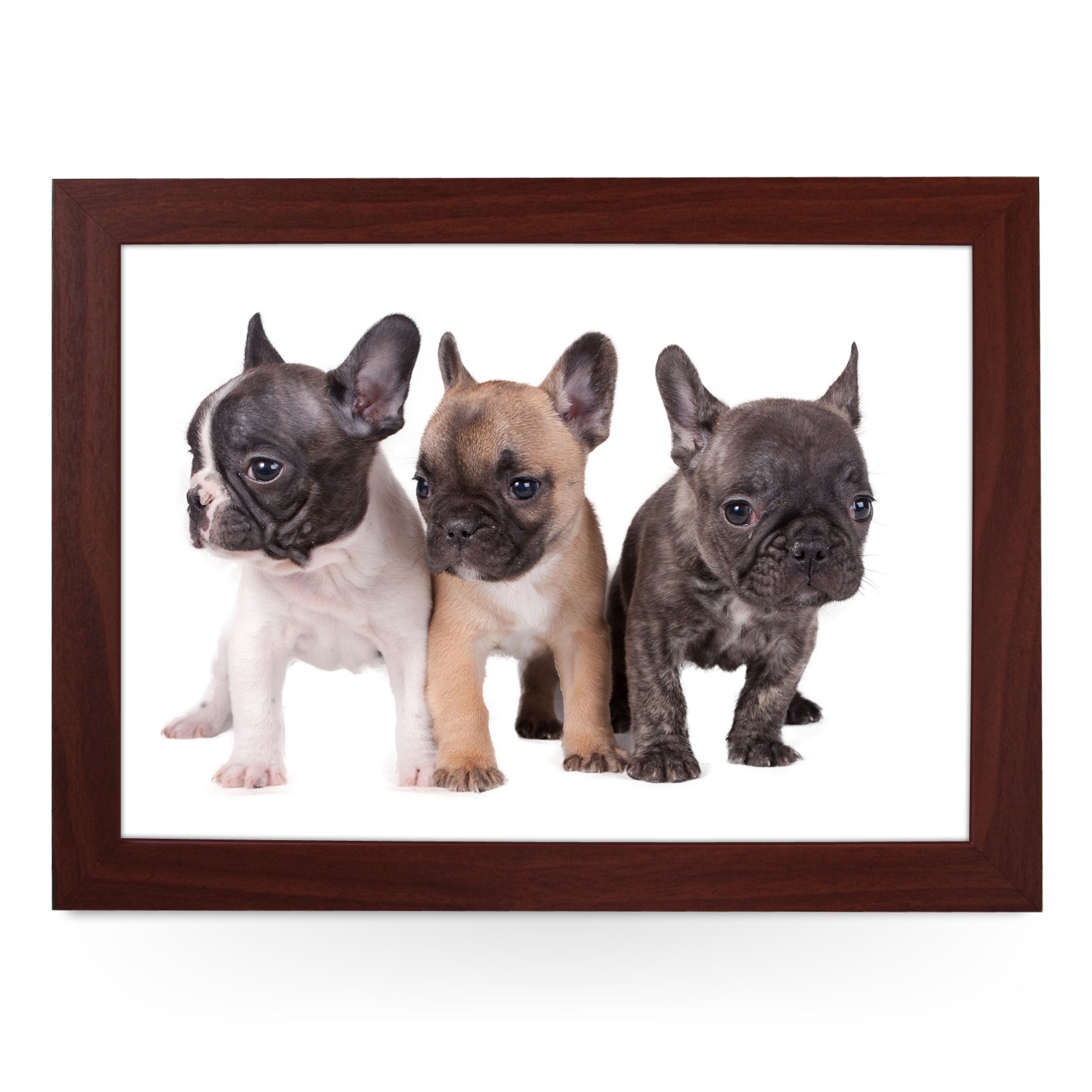 Portable Lap Desk Tray (Three French Bulldog Puppies) Handmade Wooden Frame, Beanbag Cushioned Bottom | Computers, Laptops, Meals, Food | L0079 Brown