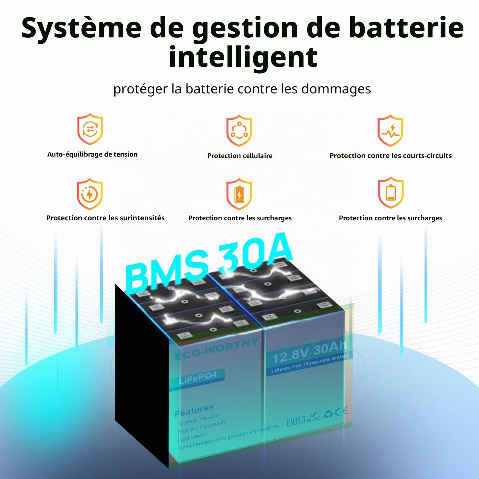 ECO-WORTHY LiFePO4 Batterie au lithium 12 V 30 Ah