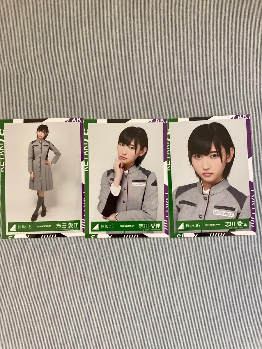欅坂 サイレントマジョリティー 世界には愛しかない 生写真 世界
