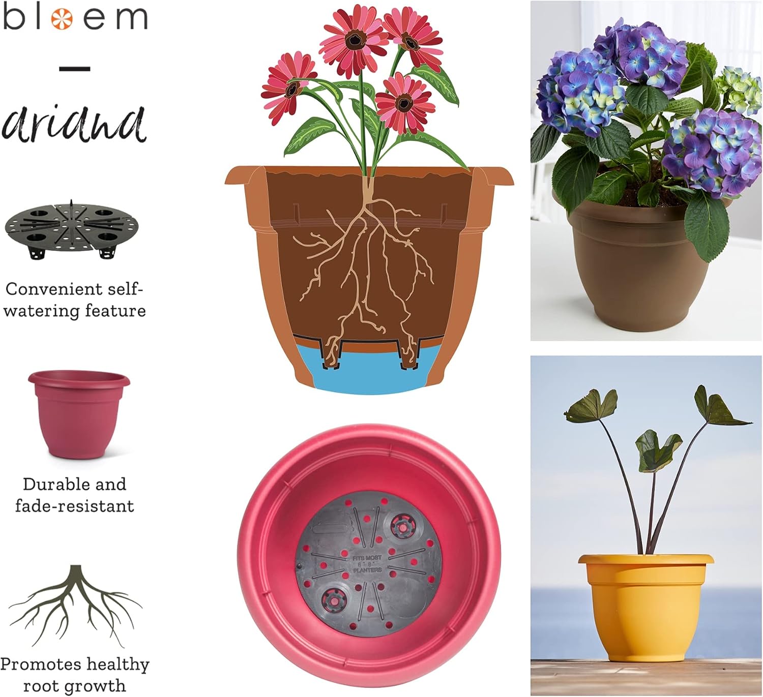 Bloem Ariana Pot Planter: 20" - Terra Cotta - Durable Resin Pot, For Indoor and Outdoor Use, Gardening, Self Watering Disk Included, 11 Gallon Capacity image 5