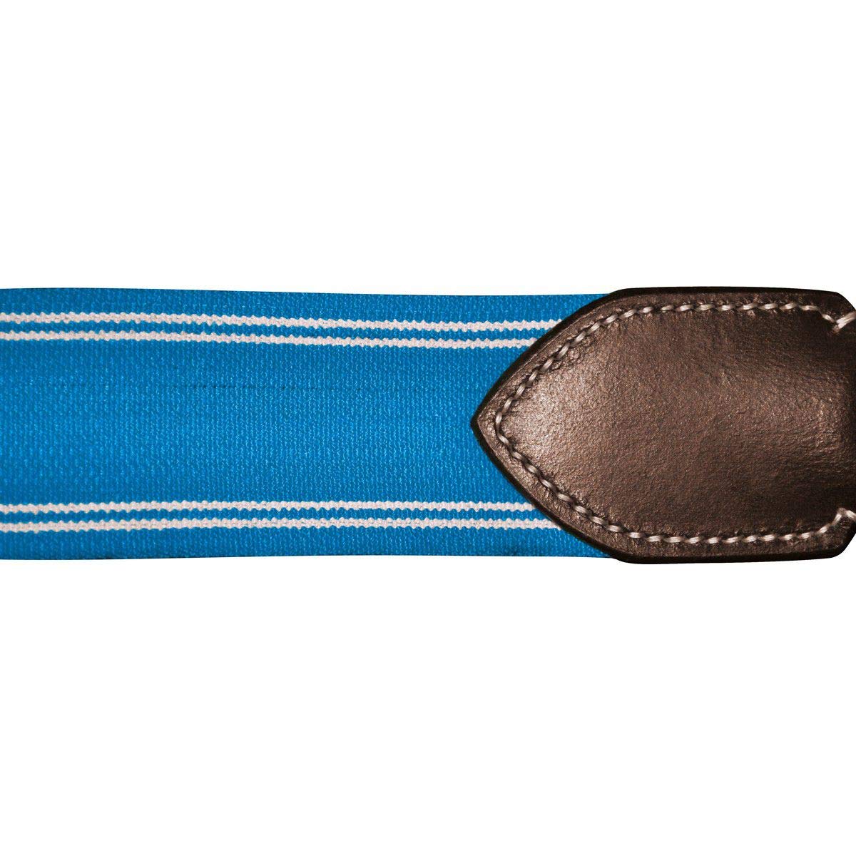 Canter Collar de Caza elástico y para Caballos