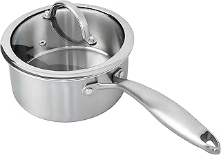 Stainless Stainless Steel Saucepan with Lid