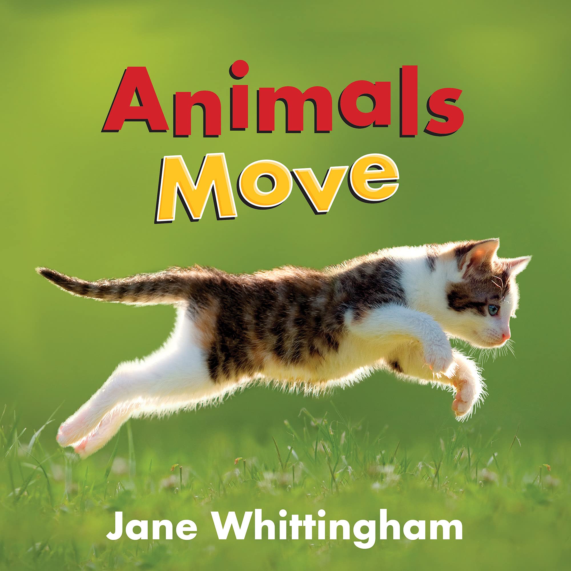 Animals Move: How 25 inspiring individuals found their dream jobs