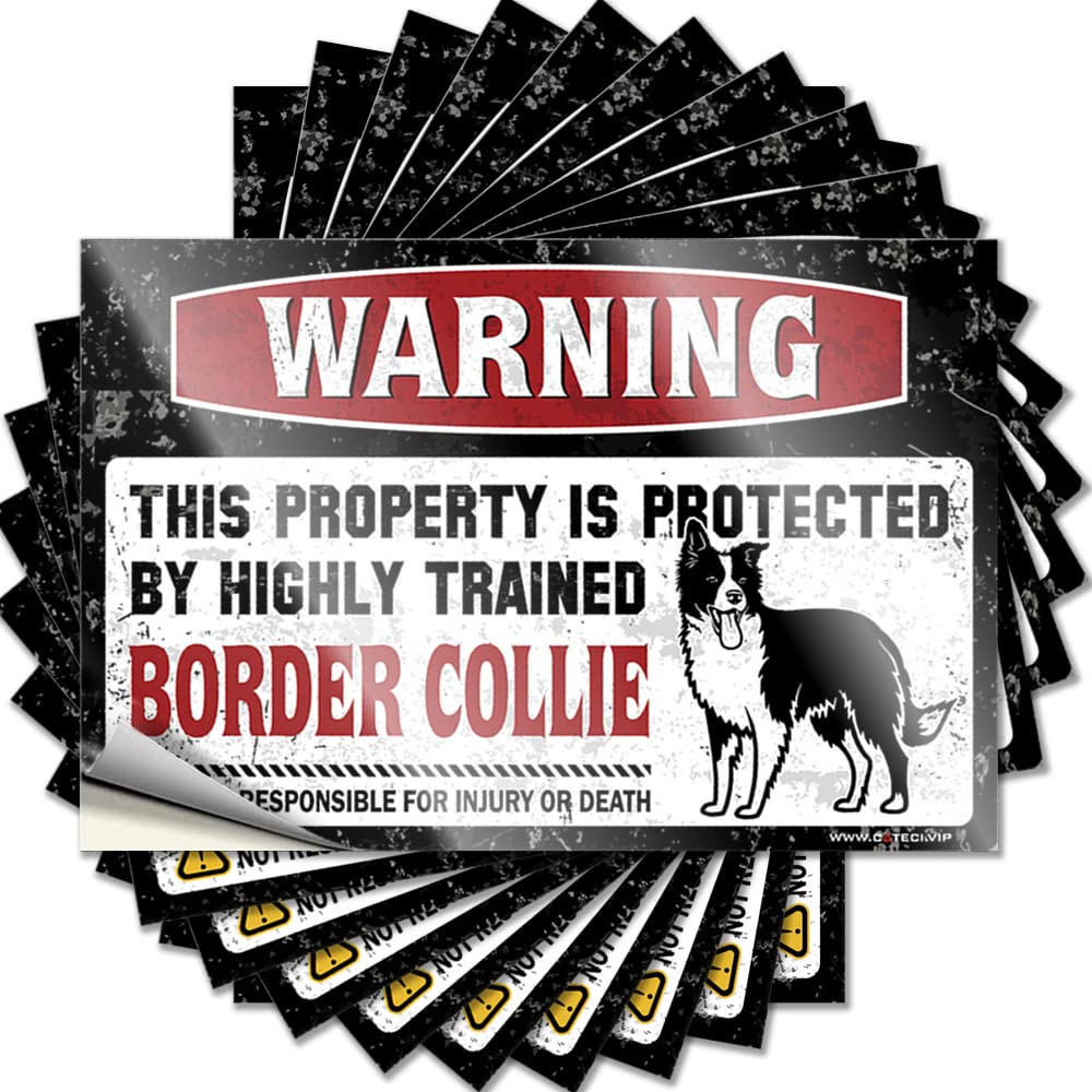 Warning This Property is Protected By A Highly Trained Border Collie Home Decor Men Feminist - Funny Sticker Hat Waterproof Decal(8X12CM)