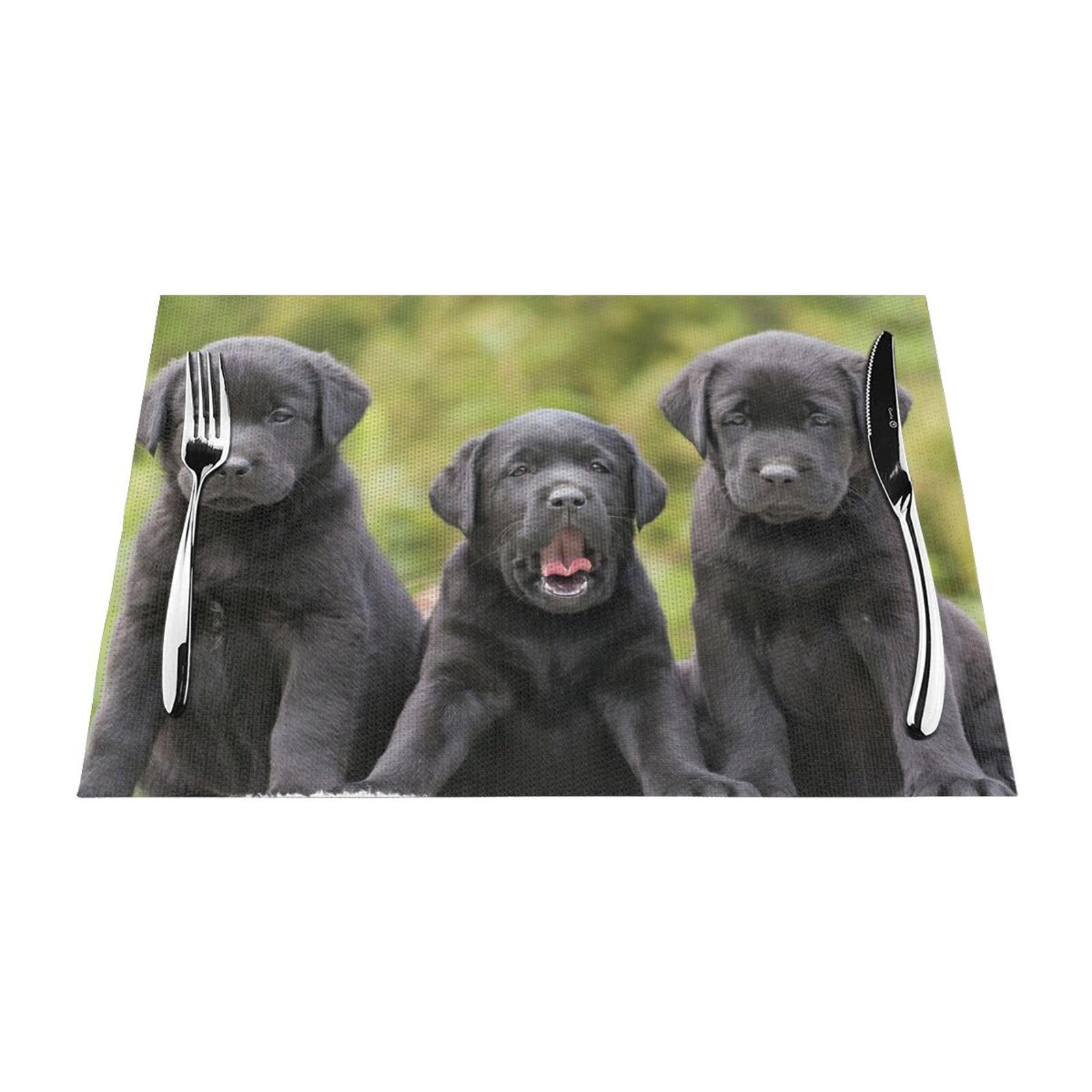 Sets de table Labrador pour vos repas de famille, décoration de cuisine en PVC