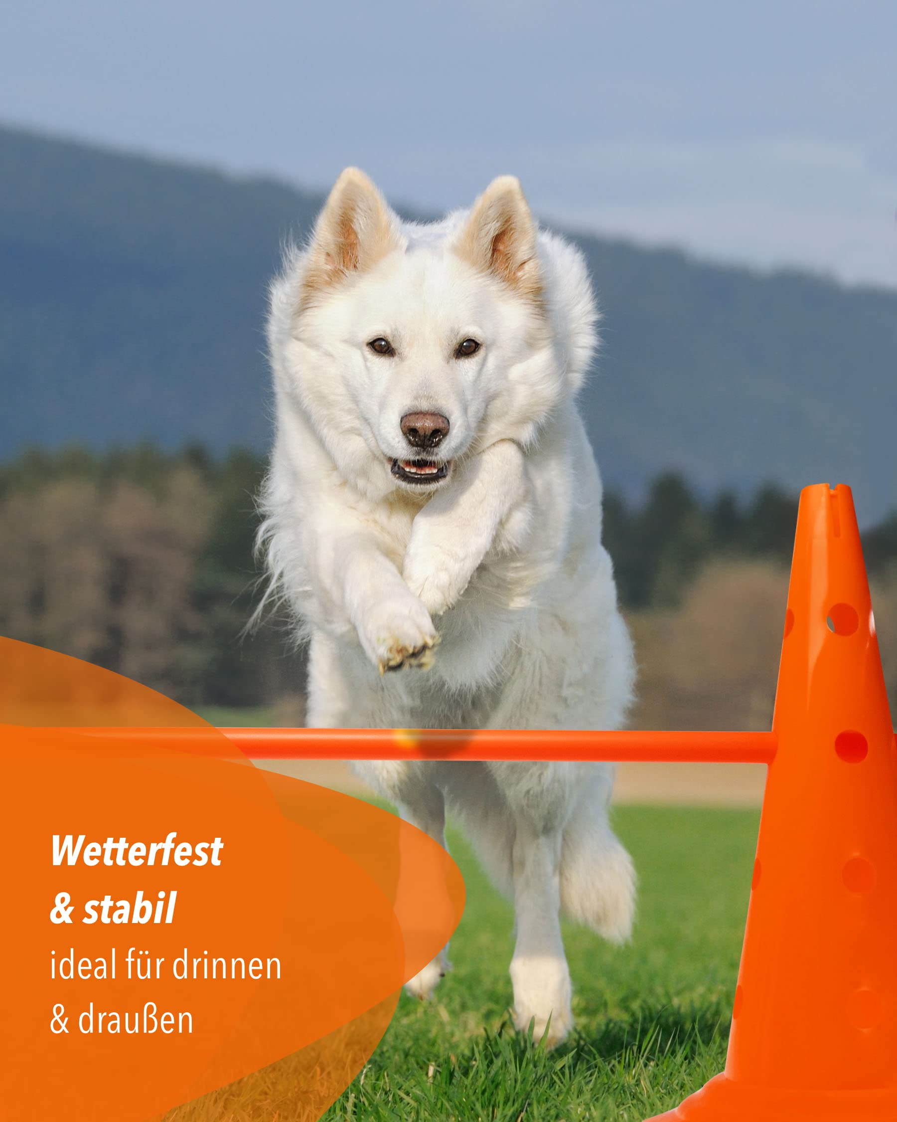 Kombi Kegel-Hürde – Steckhürde für Agility Training – Sprung- & Slalom-Hütchen für Hund, Sport, Pferd & Kind – 50 cm