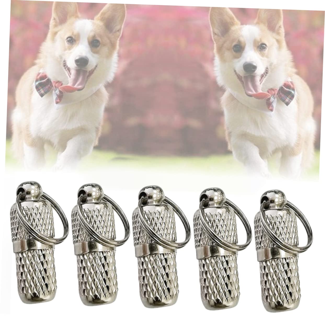 BESPORTBLE 30piezas De Identificación Para Colgante Antipérdida De Placas De Identificación Plata Para y Gatos Accesorios y Para El Collar