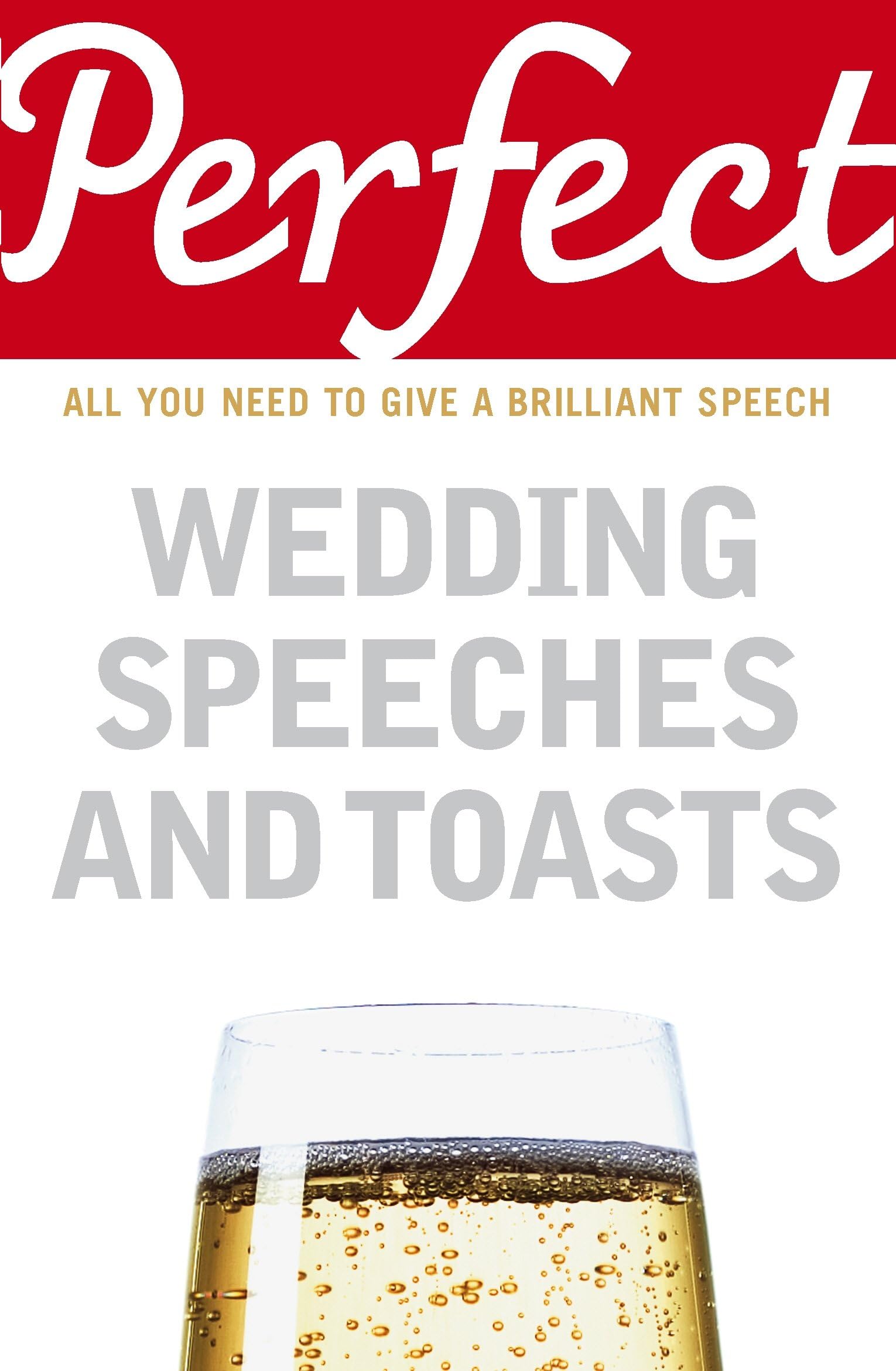 Perfect Wedding Speeches and Toasts: All You Need to Give a Brilliant Speech (Perfect series) Paperback – May 28, 2008