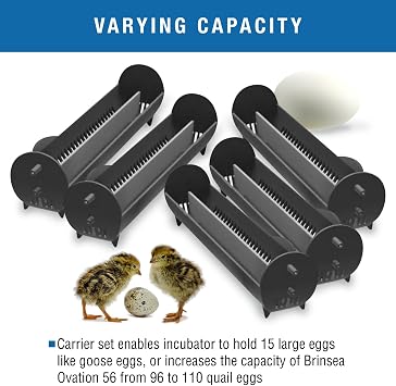 Brinsea Large Egg Carriers for Ovation 56 Incubator, Optional Accessory Accommodates Goose-Size Eggs, Set of 5