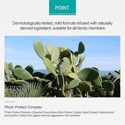 Miniatura 4 de gadi place AHC Natural Perfection - Barra solar de doble escudo 0.78 oz0.78 onzas (verde) SPF50+ PA +++  Protección UV  Protector solar  Protección