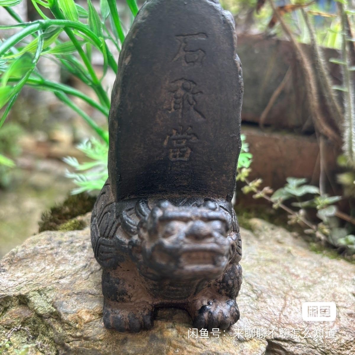 Amazon.co.jp: 石敢當 龍亀 シーサー 置物 沖縄 置物金運アップ 龍の