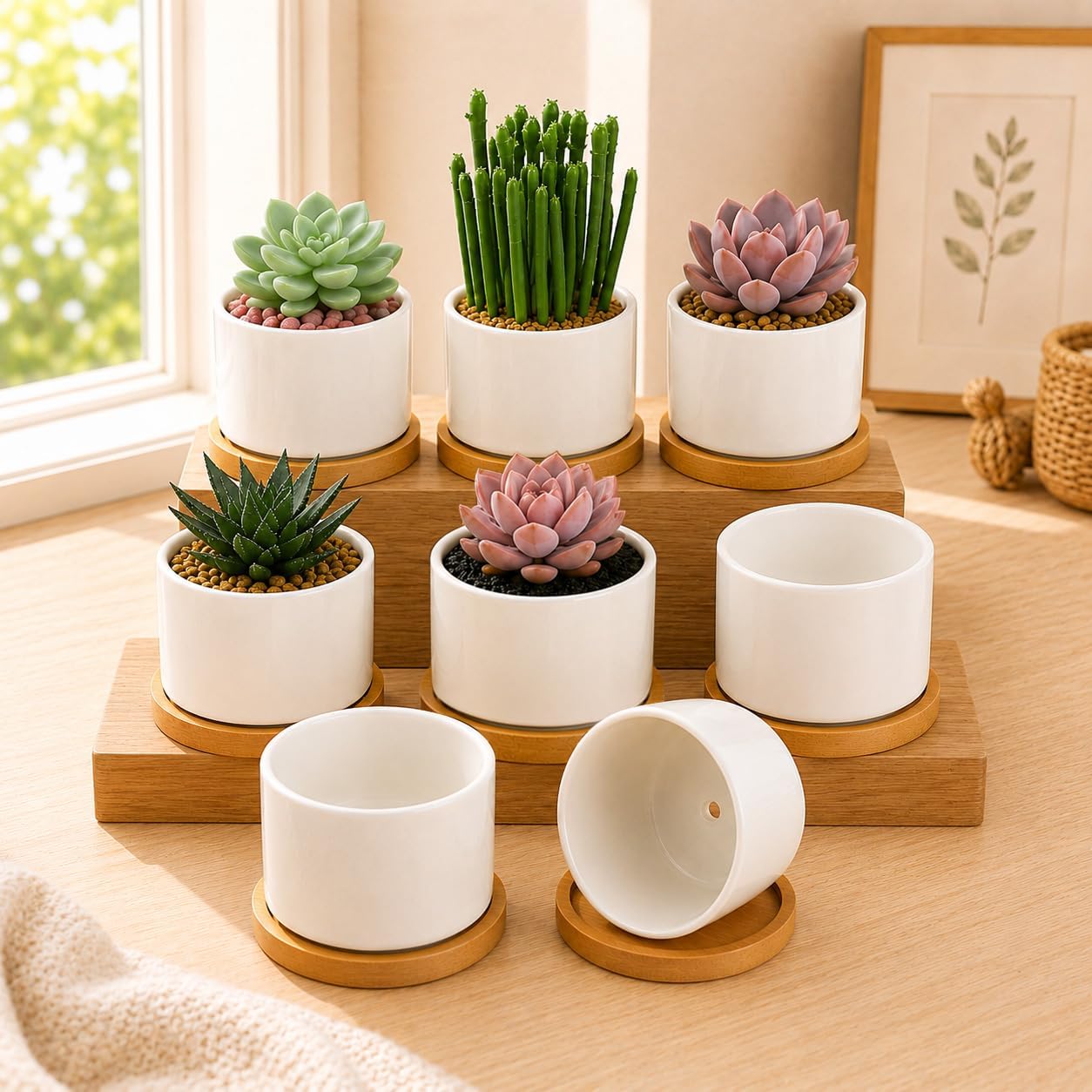 Ceramic Succulent Pots 8 Pack