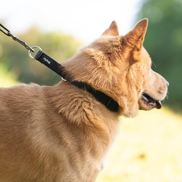 Foto 4 de 8 de Collar de Perro y niña Martingale pequeño Cachorro, Duradero