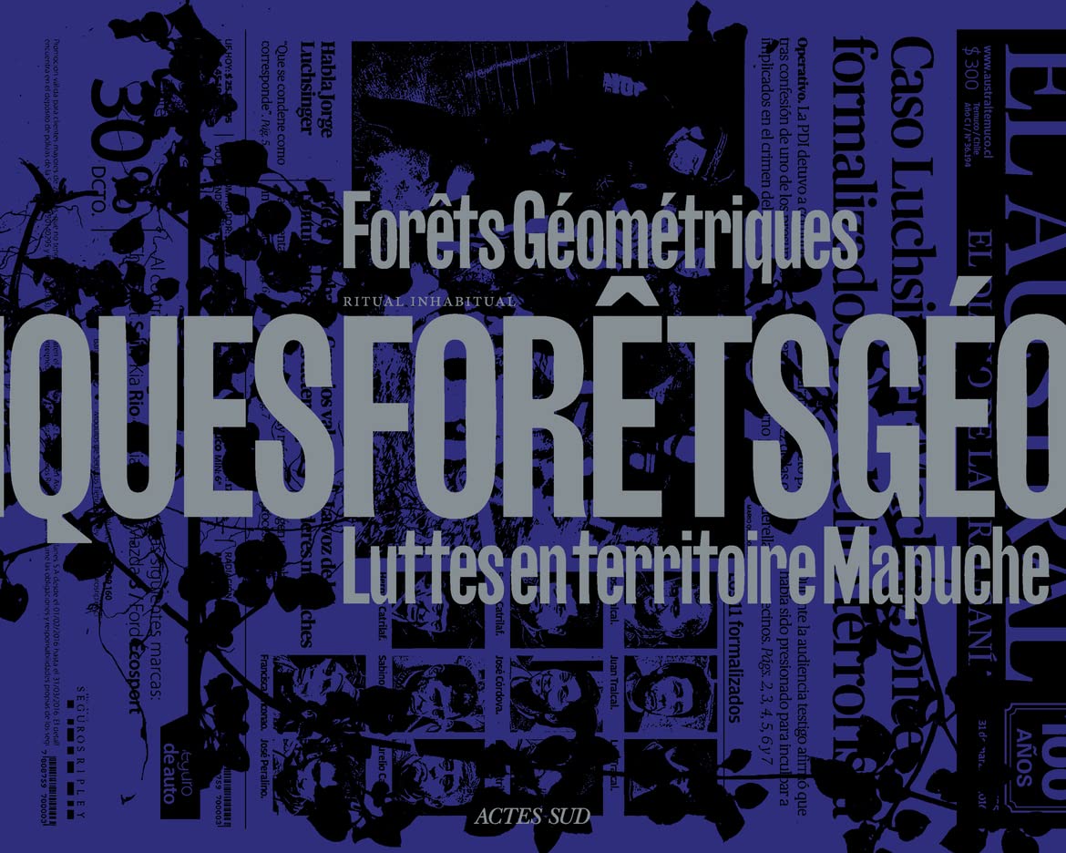 Forêts géométriques: Luttes en territoire Mapuche