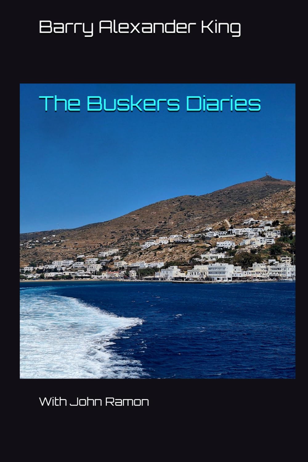 The Buskers Diaries