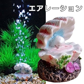 シャコガイ 貝殻 オウギガイ 置物 玄関 アクアリウム 水槽 庭 鉢 観葉植物 シャコガイ 貝殻 オウギガイ 置物 インテリア 玄関 アクアリウム