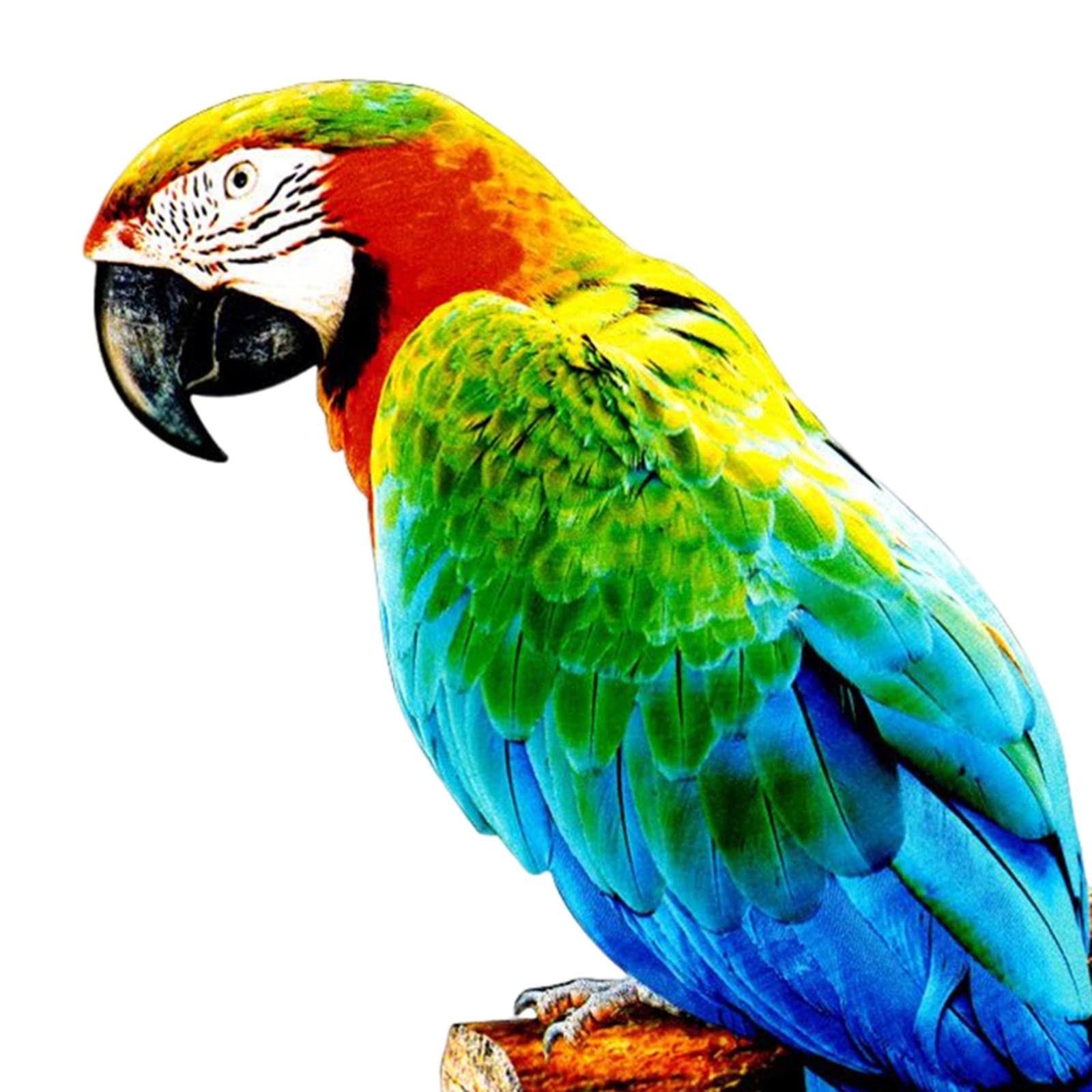 Amazon.co.jp: KLKCMS カラフルな人工オウム置物彫刻写真の