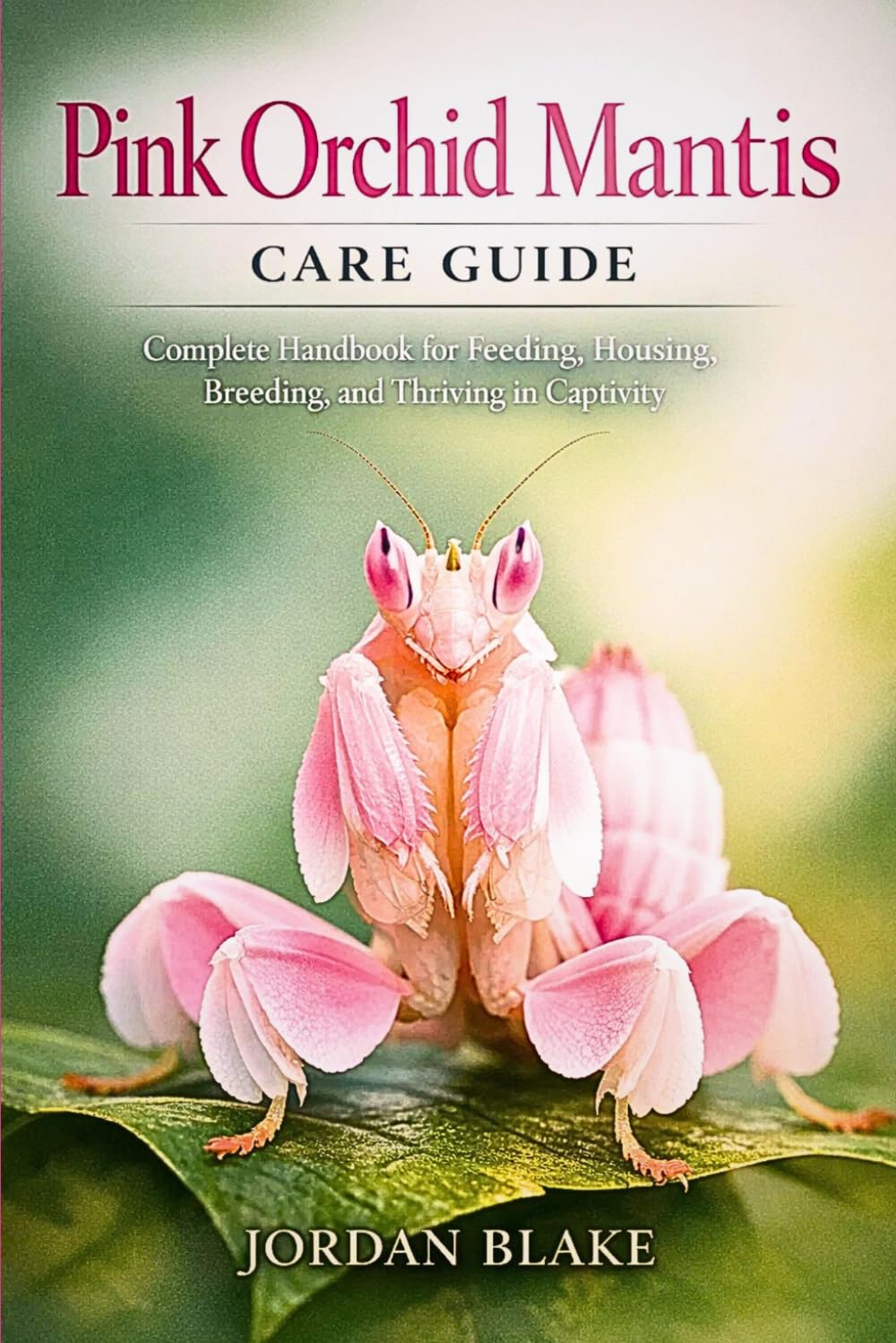 Pink Orchid Mantis Care Guide: Complete Handbook for Feeding, Housing, Breeding, and Thriving in Captivity
