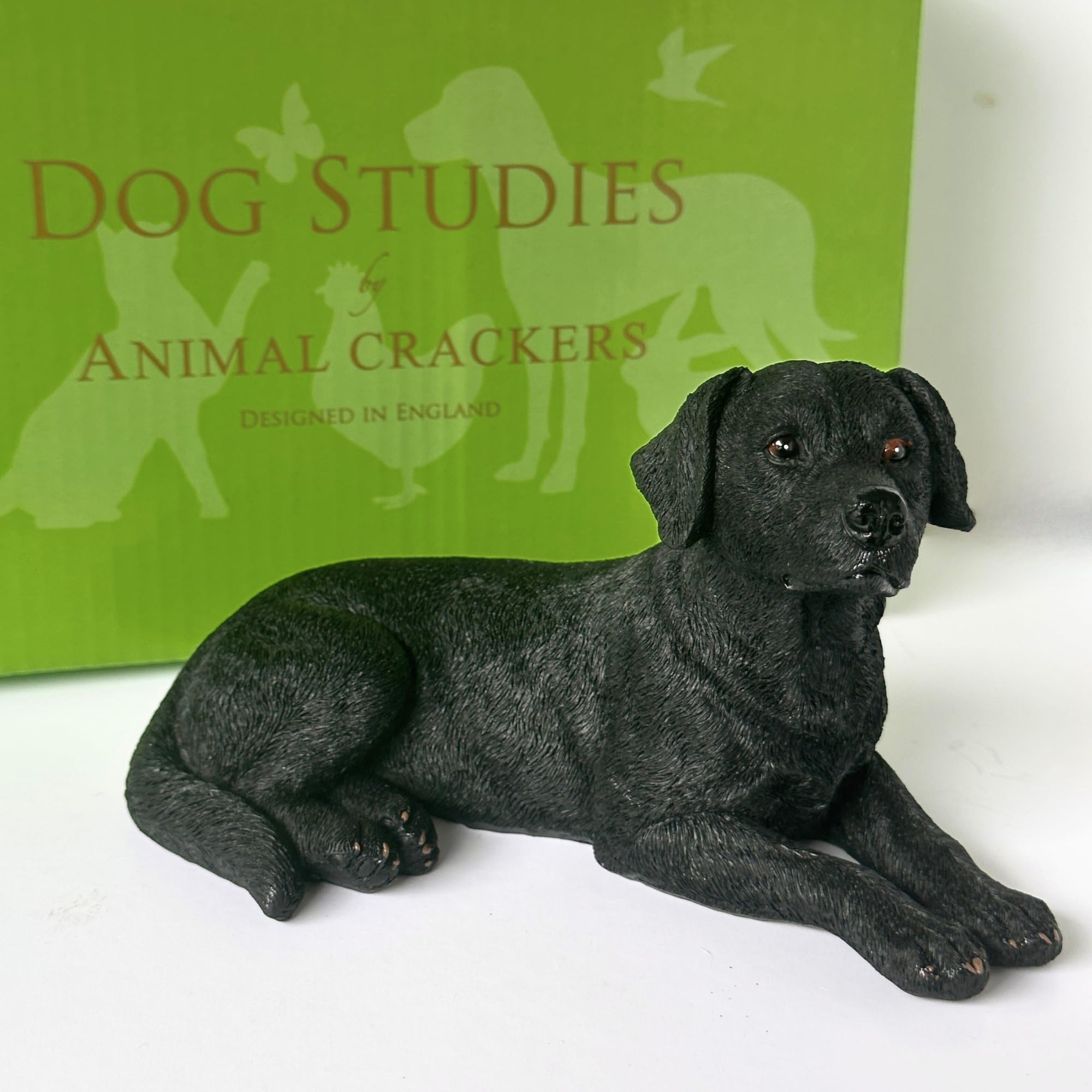 Animal Crackers Laying Black Labrador Dog figurine from the Dog Studies Collection, 16.5cm, gift boxed