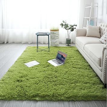 YSUEFIJO Area Rugs for Living Room, Soft Shaggy Plush Fluffy Carpet, Stain Resistant Non-Slip Backing Rugs, Indoor Carpet Nursery Rugs, for Bathroom Laundry Bedside