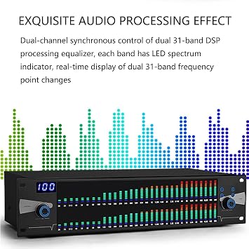 Graphic Equalizer Hifi Dual 31-band, Digital LED Music Spectrum Analyzer with 10 Preset Memory Storage, Audio Processor for Recording Studio, Home