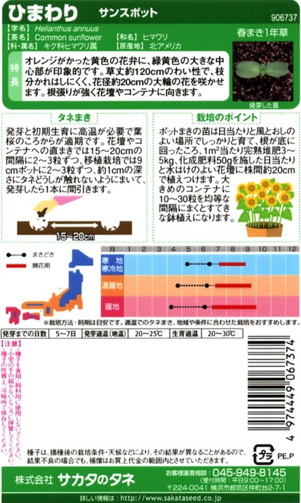 ひまわり様　オーダー専用 ひまわりオープン/9981(cm-275995)【販売単位:1】 : ドクターマート