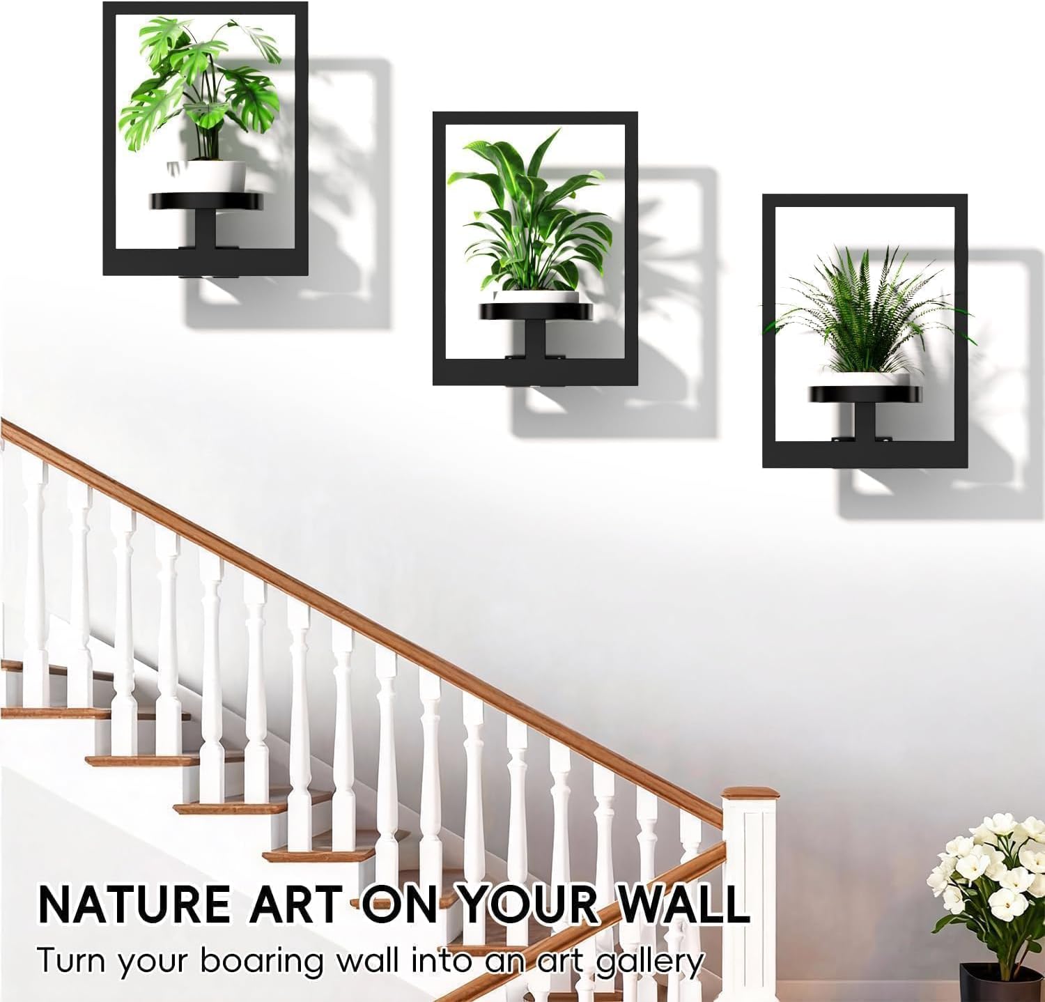 Wall Plant Stand, Metal Picture Frame Hanging Planters for Indoor Plants, Wall Mounted Plant Shelf for Window/Living Room/Bedroom/Entryway/Garden, Free Garden Shears (Square-Black, 3Pcs)