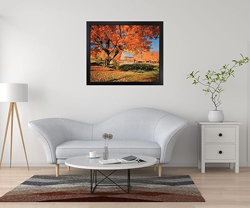 Miniatura 6 de Póster artístico de Nueva Inglaterra para decoración de pared, diseño de árboles caídos (16 x 20 pulgadas)