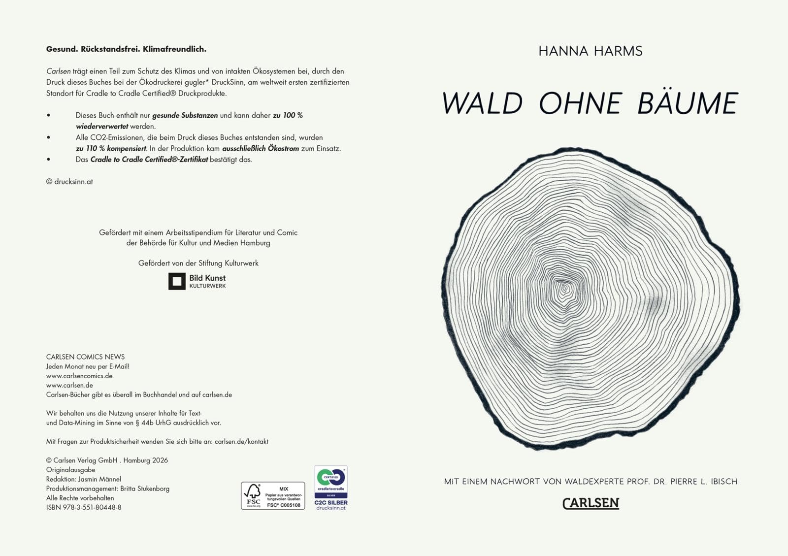 Wald ohne Bäume: Poetisch gezeichneter Sachcomic zum Thema Waldsterben: Über die Dringlichkeit von nachhaltigem Umweltschutz