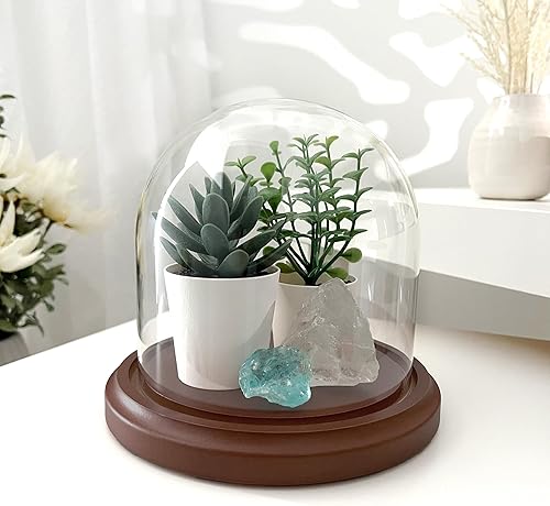 Miniatura 5 de Plymor Cúpula de cristal de 5.5" x 5.5" (base de chapa de madera negra)