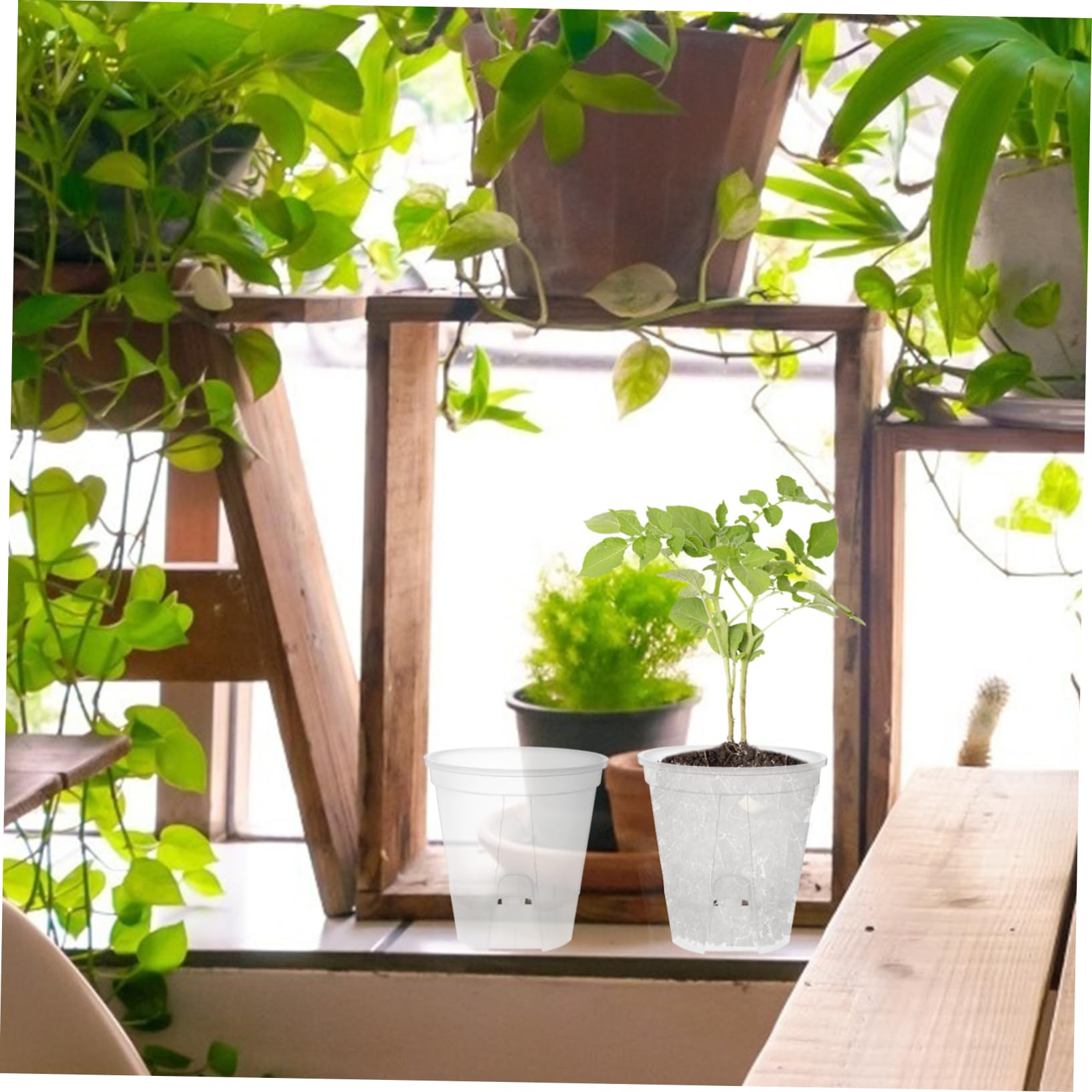6pièces Pots à Orchidées Transparente avec Drainage Pots De Auto-arrosants pour Plantes Intérieur Bacs Plastique Respirants pour Et