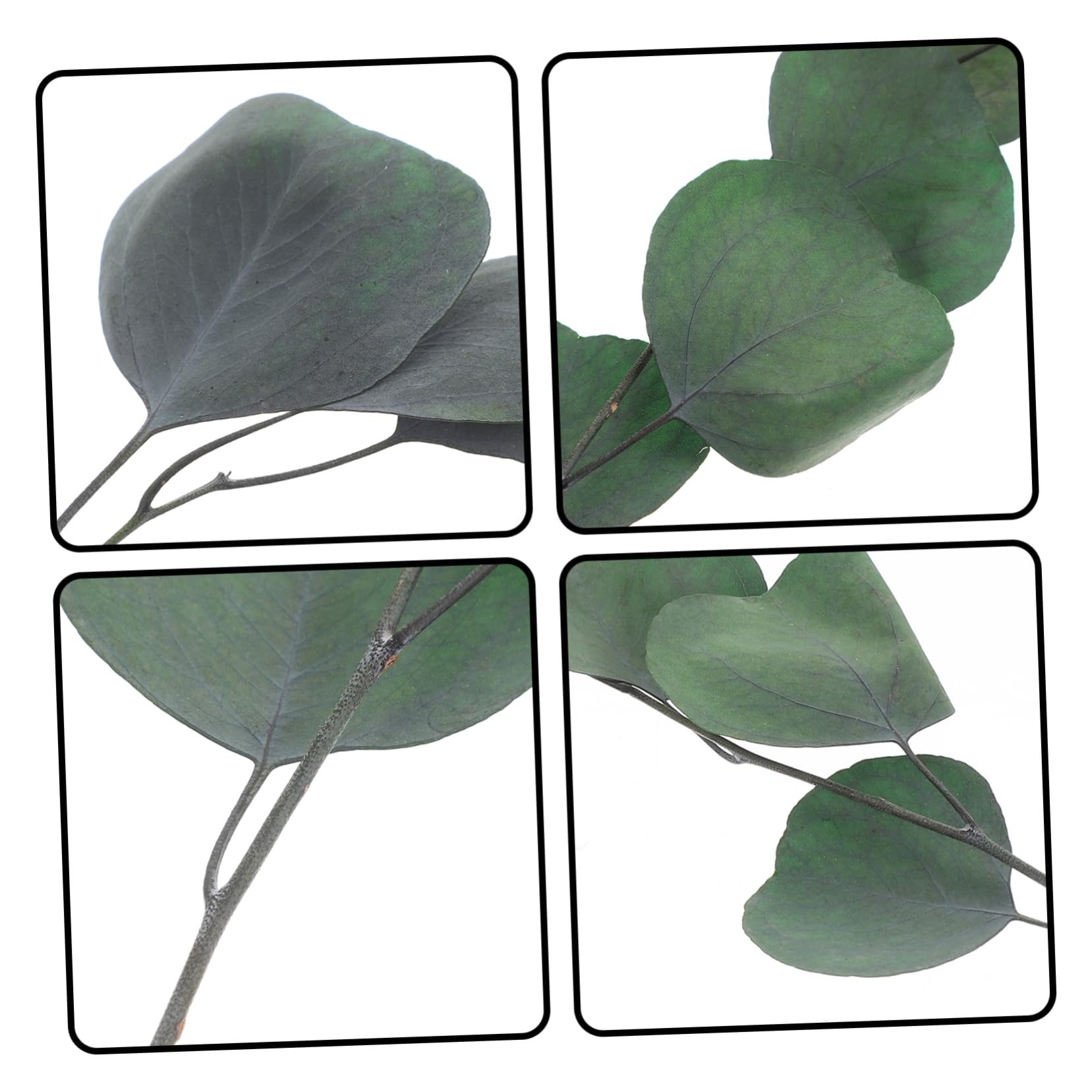STOBAZA 2piezas Ramo De Eucalipto Inmortal Seco para Decoración De Fiestas Adorno Natural para Hogar y Eventos Especiales